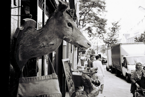 Golborne Road Market by fabiolug on Flickr.