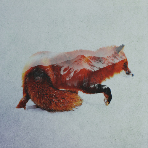 victoriousvocabulary:  YĔ [adjective] 1. wild; untamed. 2. brutal. 3. rude; boorish. Etymology: Chinese 野. [Andreas Lie] 