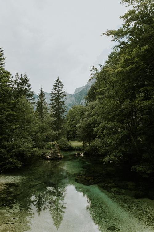 oneshotolive:  Lake Bohinj and the Julian Alps, Slovenia. [OC] [3840 x 5760] 📷: Mallen2154 