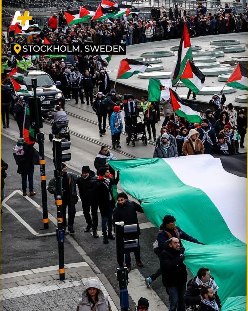 Don't Feel Helpless. You're Not Speaking Up For Palestine Alone. The World, Humanity, Is With You.