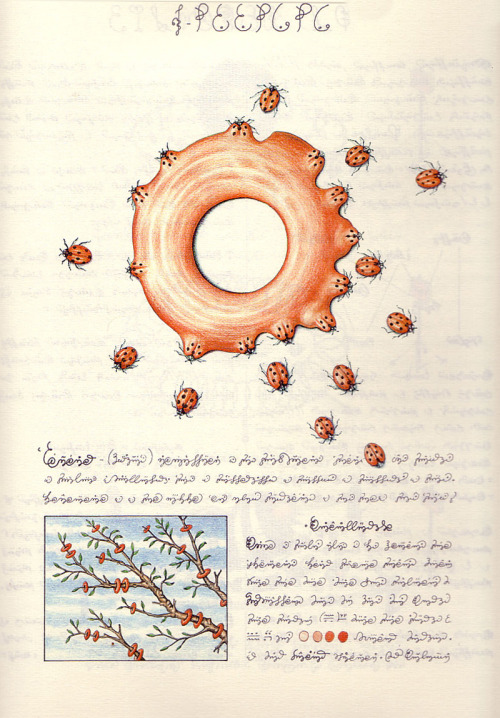 design-is-fine: Luigi Serafini, Codex Seraphinianus, 1981. Published by Franco Maria Ricci FRM Milan