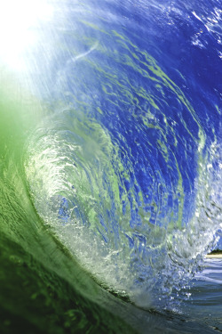 wavemotions:  Where The Green Meets The Blue