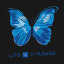 letswalkupthenightsky