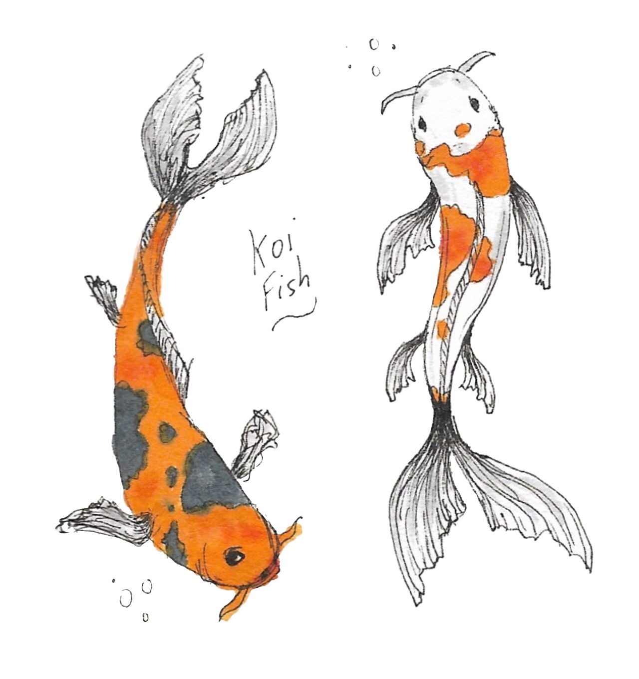 Deniz Haiu van Daalen - Koi fish sketches, pen and marker