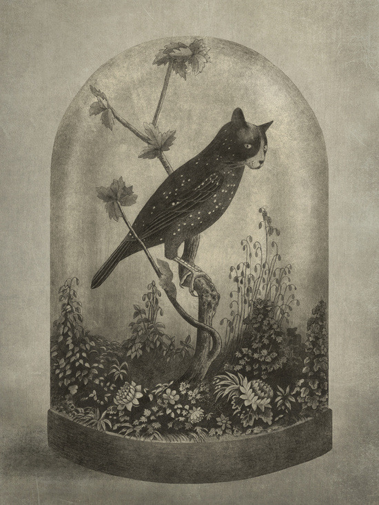 bestof-society6:   ART PRINTS BY TERRY FAN Blossom Bird The Curiosity Three Feathers Old