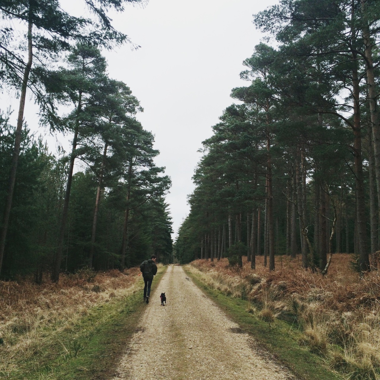 danielodowd:  http://sabinalwillis.vsco.co/