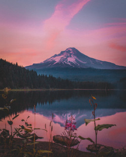 nicholaspeterwilson:  Twilight on Mount Hood. by Nicholas Peter Wilson 