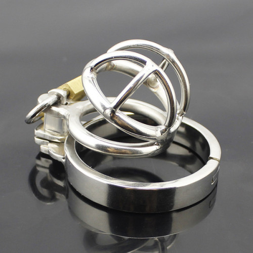 6. Metal Monthly chastity Cage with padlock.