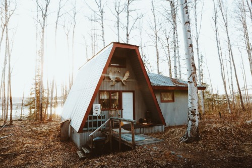 forrestmankins:  Calling this cabin and Alaska home for the next couple of months. 