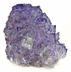 fuckyeahmineralogy:  Fluorite; Coahuila, Mexico