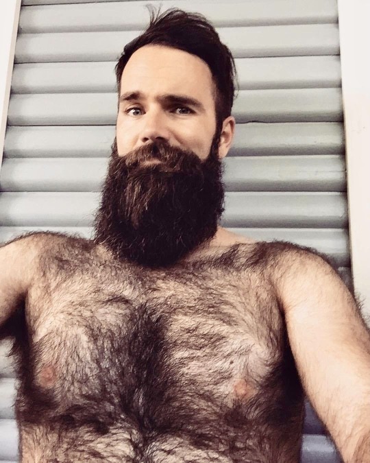 hairyobsessionss:BBB BIG BEEFY BEAR https://hairyobsessionss.tumblr.com/Hairy Furry Men