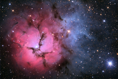 The Trifid Nebula in Stars and Dust Credit: Adam Block, Mt. Lemmon SkyCenter, U. Arizona