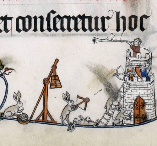 discardingimages:siege rabbitsPontifical of Renaud de Bar, France ca. 1303-1316Cambridge, Fitzwillia