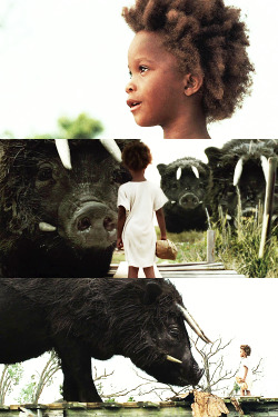 cinemagal:  Beasts of the southern wild (2012,