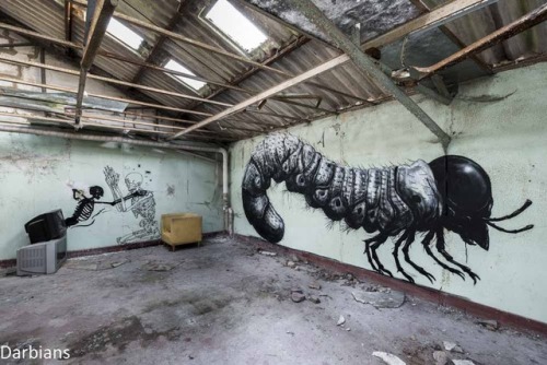 darbians: An abandoned factory in Belgium with graffiti by Klaas Van Der Linden and ROA. Check the l