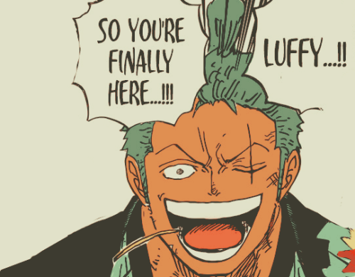 raftels: a long awaited team up ch912 aka give zoro’s appearance a medal for saving me from dr