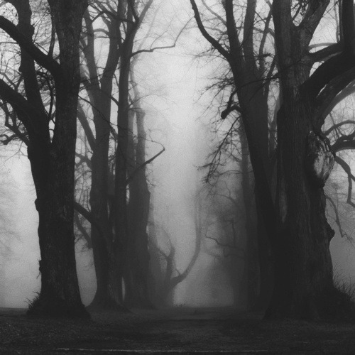 Among the dead