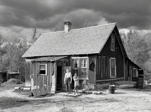 vintage-every-day:September 1937: Cabin of Steve Flanders, cut-over farmer near Northome, Koochichin