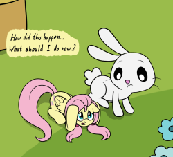 fluttershyanswers:  (1/5 with tiny Fluttershy)  X3 Hee! And aww, I like it when someone portrays Angel being nice. He may be a bit of a brat sometimes, but that doesn&rsquo;t mean he has any less of a sweet side. :3