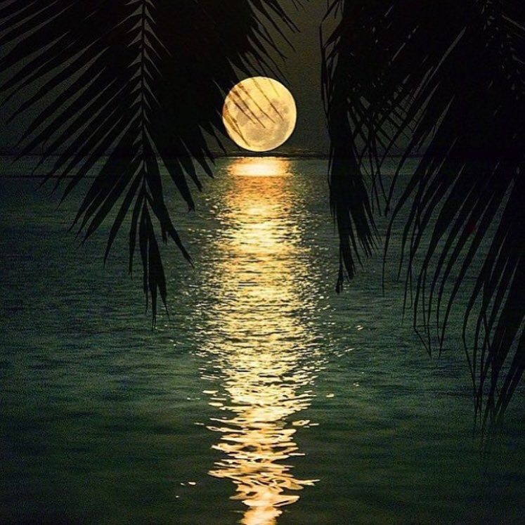 avonsarmy: Wow talk about moonshine