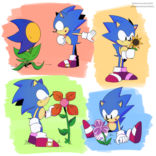 silvermun:there’s just something about sonic with flowers that i’ve always liked bonus: can you gues