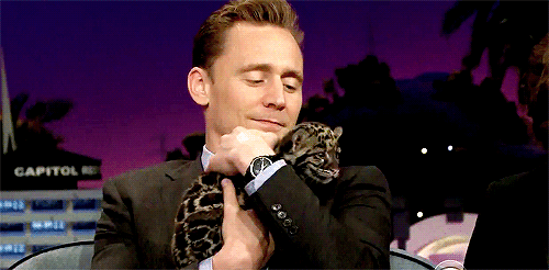 the-haven-of-fiction: bitchevans: Tom Hiddleston on The Late Late Show with James Corden