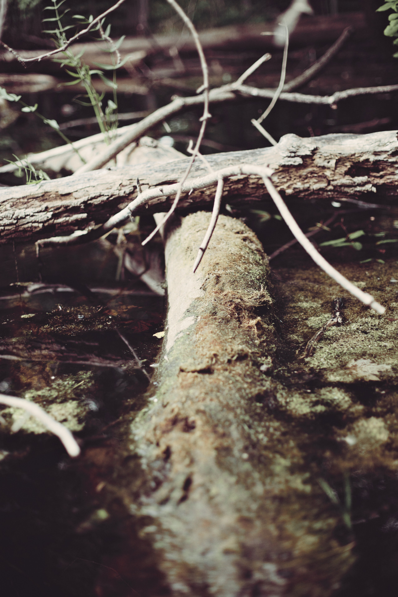 sforsythe:  7.25.14
