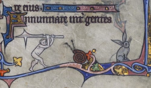 discardingimages:snailfight and an indifferent rabbitbook of hours, Flanders 14th centuryWalters Art