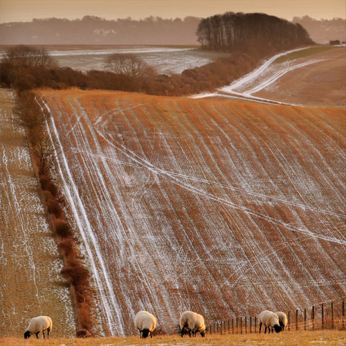 robert-hadley:‘The South Downs’ near Clayton, West Sussex by Tim Moorland.Source: uklpoty