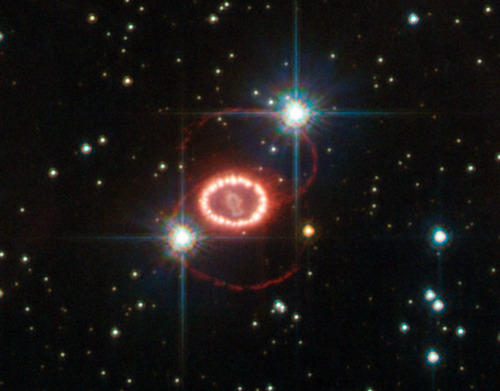 just–space:
“Supernova 1987A in 2012
js”