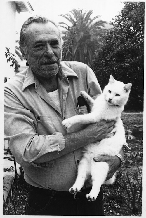 victormalonso:“Having a bunch of cats around is good, if you’re feeling bad,