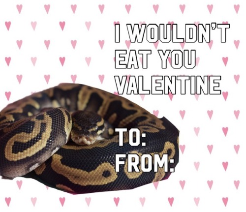 so uh i made some callouts in the form of valentines, hope you enjoy