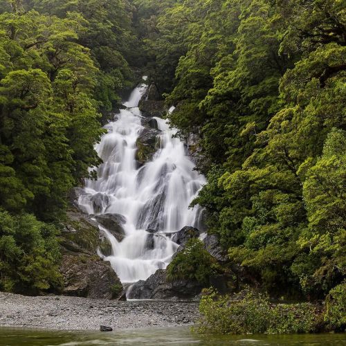 More jungle waterfalls today! This is the Fantail Falls, found along Highway 6 between Haast and Wan