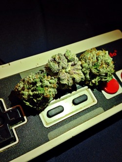 fantasy-galaxy:  Weed & Nintendo ❤️