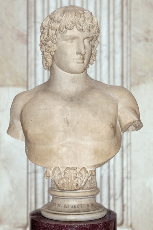 Bust of Antinous130/138 AD Museo Pio Clementino (Sala Rotonda), Vatican Sculpture | Museums