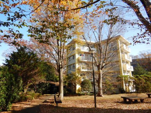 常盤平団地（TOKIWADAIRA　DANCHI）（1960年）松戸市常盤平（TOKIWADAIRA　MATSUDO　CHIBA　JAPAN　）2020年