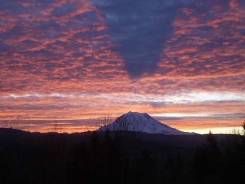 unicorn-meat-is-too-mainstream:  The Shadow of Mount Rainier Bhakta’s Weblog:  facebook  |  twitter  |  pinterest  | subscribe 