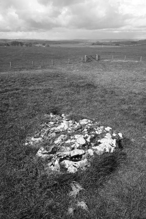 Gib Hill Barrow, Derbyshire, 30.4.16. The monument is distinctive in that the initial Neolithic oval