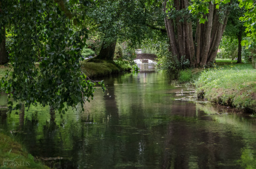 Gardens of Vascoeuil, Eure, France 2019by Jolene CornelisInstagram