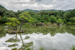 morethanphotography:  Japanese Garden by