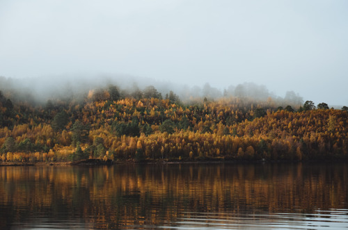 carpe-noctvm: Autumn colours, Scotland / 13.10.2019