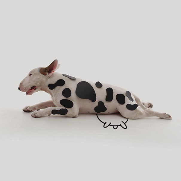 punkrabilly:Spike