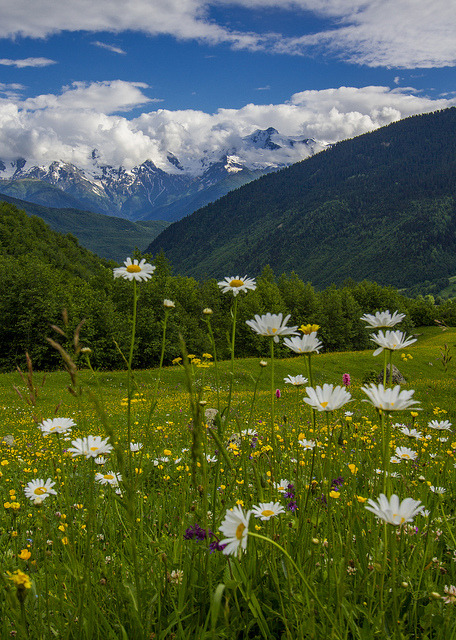 Summertime in the Caucasus, Svaneti / Georgia (by mistaluis).