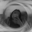 myiia