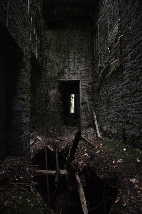 Buchanan Castleabandoned mansion in Scotland, built in 1855 and abandoned in 1954.(more photos here)