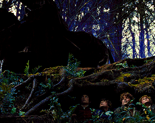 alfonso-cuarons: And so life in the Shire goes on, very much as it has this past