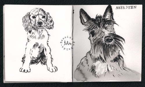 DES CHIENS Par Baldo, Cahier Maison Agraf 12 X14 Cm