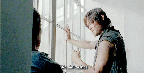 we are the walking dead