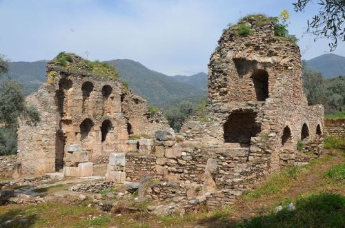 historyfilia:Roman library from Nysa on the Maeander, Turkey