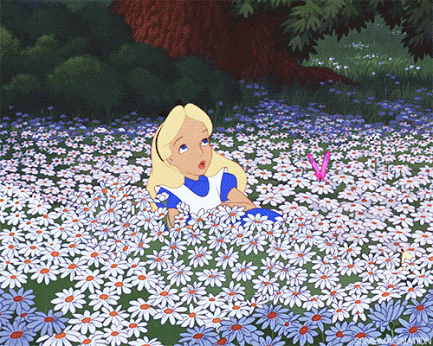 In A World Of My Own 🌺 